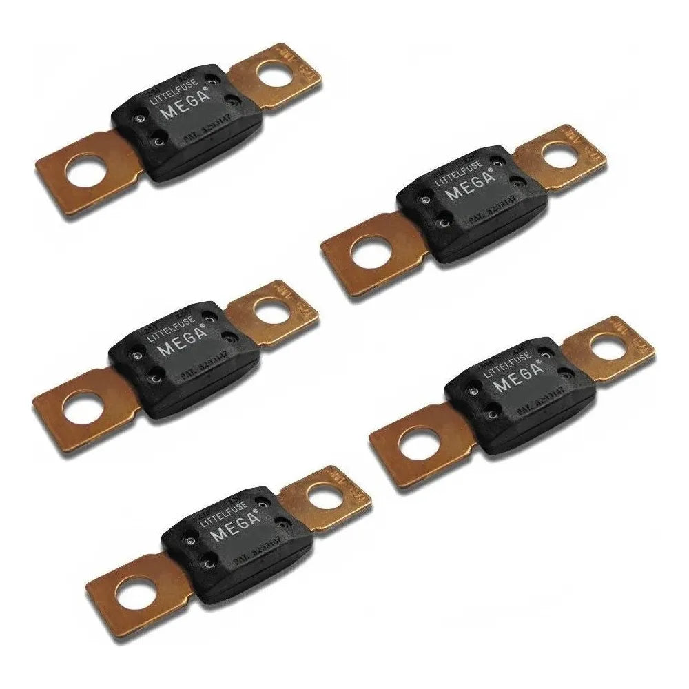 Fuses & fuse holders